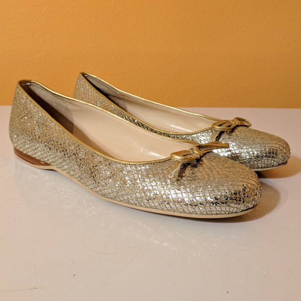 Enzo Angiolini Platinum Silver Women's Flats